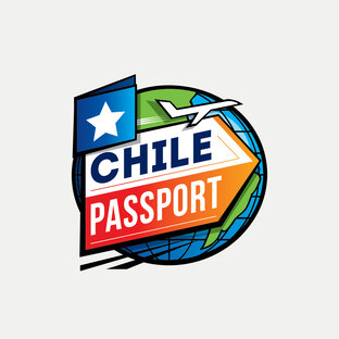 Статистика Дзен Chile Passport