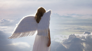 Дзен Лера Богожская статистика