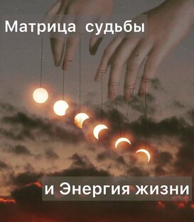 Дзен Смотрю на небеса статистика