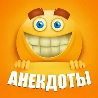 Дзен андрей гонных статистика