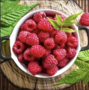 Дзен Андрей Ненаглей статистика