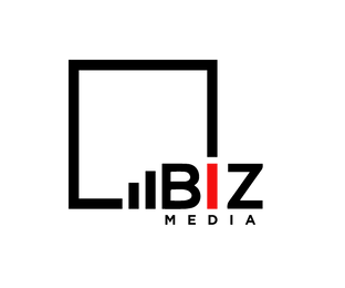 Статистика Дзен Bizmedia.kz