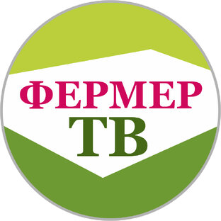 Статистика Дзен Фермер ТВ