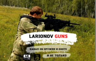 Статистика Дзен Larionov Guns