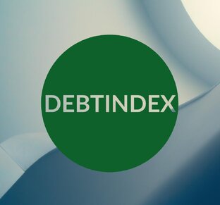 Статистика яндекс дзен Debt Index