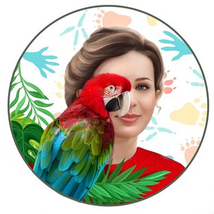 Статистика Дзен Фауна Факт