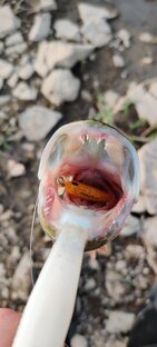 Статистика Дзен OkaFishing - Рыбалка на Оке и Москва-реке