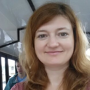 Статистика Дзен Елена Ермалинская