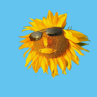 Логотип канала Южный Дворик