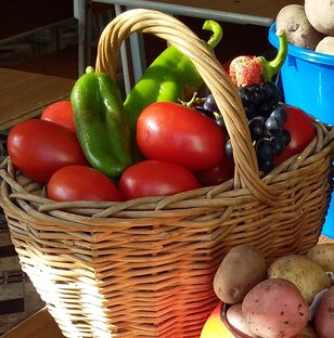 Дзен Огород на Нерли статистика