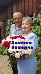 Статистика Дзен Заметки Иваныча