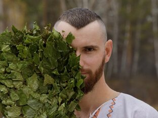 Статистика Дзен Артём Казельский