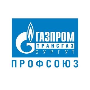Статистика Дзен ОППО "Газпром трансгаз Сургут профсоюз"