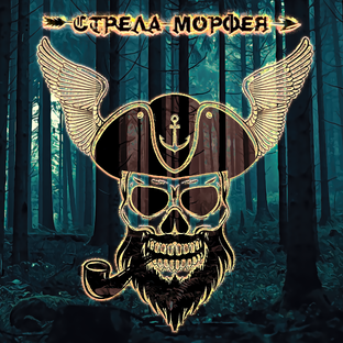 Дзен Стрела Морфея статистика