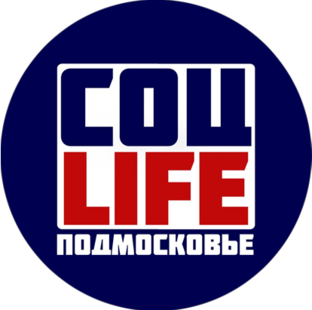 Статистика Дзен СоцLIFE