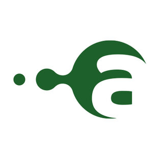 Статистика Дзен Alegria