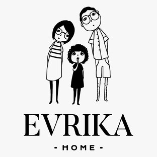 Статистика яндекс дзен Evrika Home