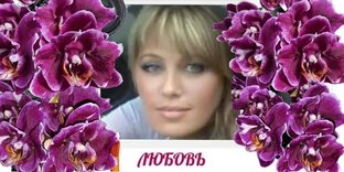 Статистика Дзен Мой Мирок Орхидей Моя Жизнь