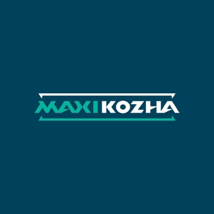 Дзен Максикожа ● Maxikozha.ru ● Натуральная кожа СПб статистика