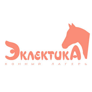 Статистика Дзен "Эклектика" конный лагерь