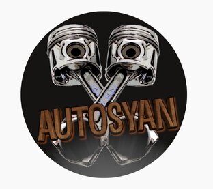 AUTOSYAN