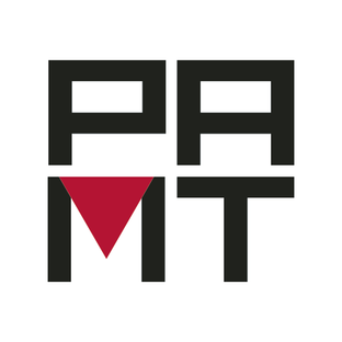 Статистика Дзен РАМТ 