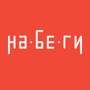 Статистика Дзен Детский центр «НАБЕГИ»