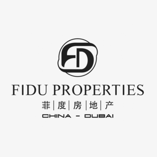 Дзен FIDU PROPERTIES статистика