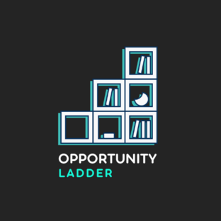 Статистика Дзен Opportunity ladder
