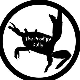 Статистика Дзен The Prodigy Daily