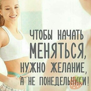 Статистика Дзен Сбалансированное Питание