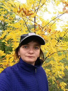 Дзен Фотографии про красивую природу и не только) статистика