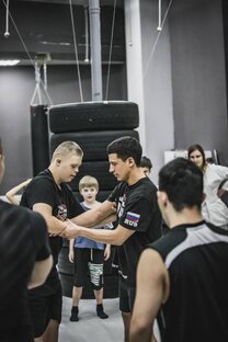 Статистика Дзен DOJO N1