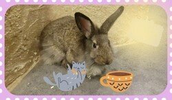 Живой мир рядом