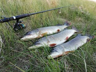 Рыбалка на спиннинг