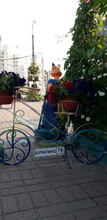  Велоспорт  и не только 