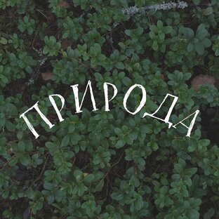 Природные локации