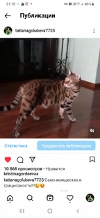 Марсель😉🥰