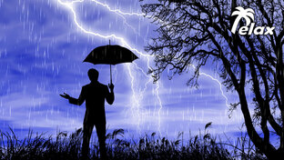 ☔ Звуки Дождя