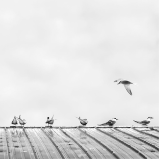 Как минимализм сделает вас счастливей