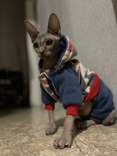 Любимая Люси ❤️