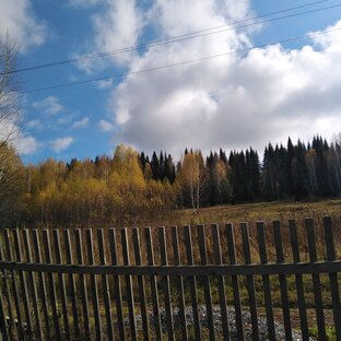 Золотая осень 