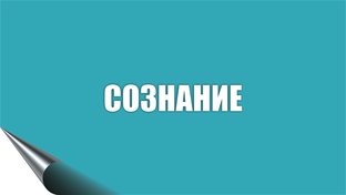 Сознание
