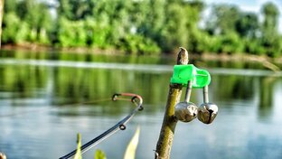 НА ЗАКИДУШКИ (ДОНКУ)