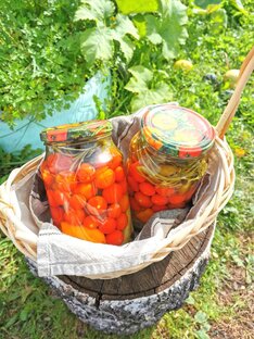 Лето в банке