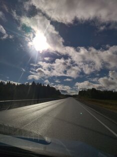 ПУТЕШЕСТВИЯ.  ПРОГУЛКИ