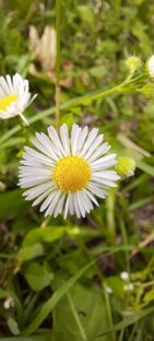 Мои рисунки