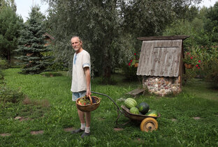 Новости из поместья