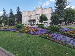 Море цветов