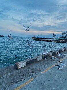 Статьи на размышление 